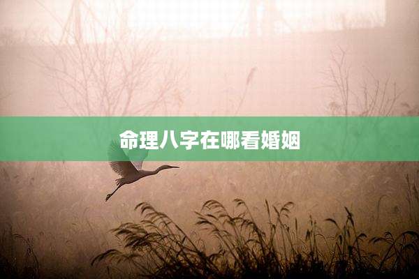 命理八字在哪看婚姻