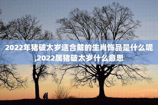 2022年猪破太岁适合戴的生肖饰品是什么呢,2022属猪破太岁什么意思