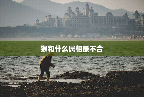 猴和什么属相最不合
