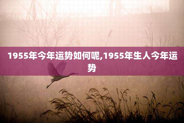 1955年今年运势如何呢,1955年生人今年运势