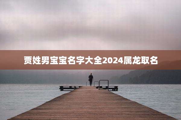 贾姓男宝宝名字大全2024属龙取名