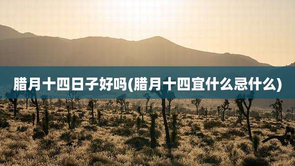 腊月十四日子好吗(腊月十四宜什么忌什么)