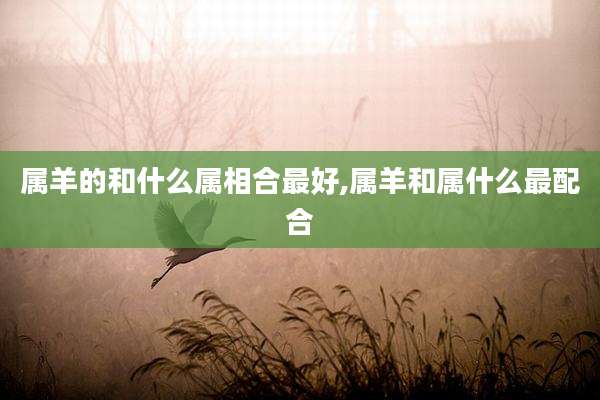属羊的和什么属相合最好,属羊和属什么最配合