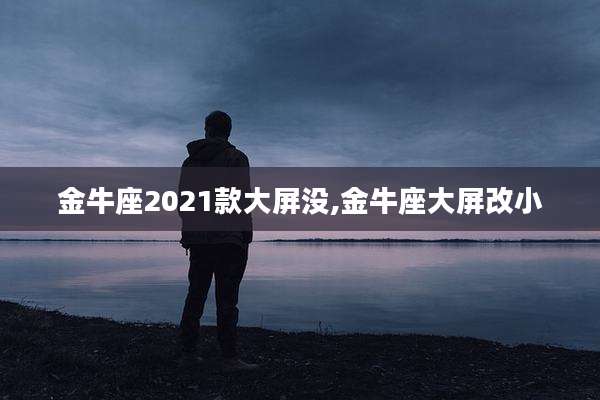 金牛座2021款大屏没,金牛座大屏改小