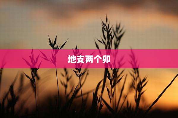 地支两个卯