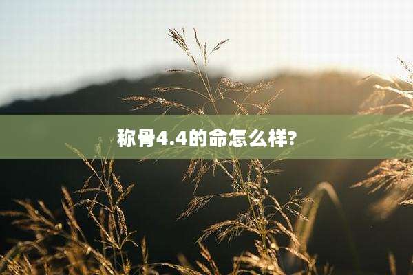 称骨4.4的命怎么样?