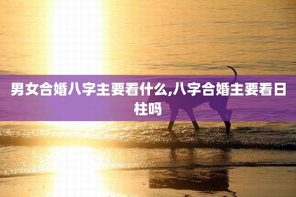 男女合婚八字主要看什么,八字合婚主要看日柱吗
