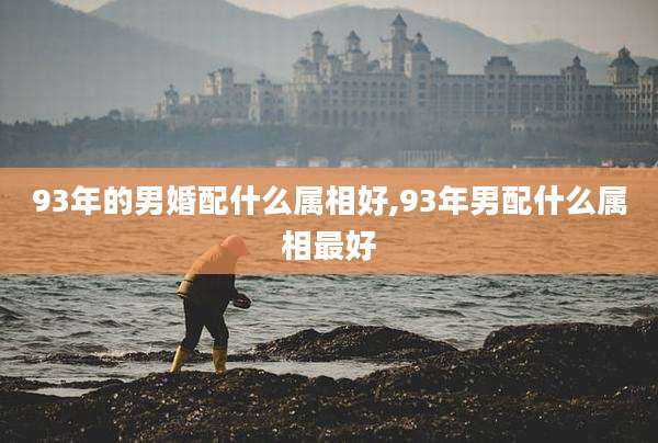 93年的男婚配什么属相好,93年男配什么属相最好