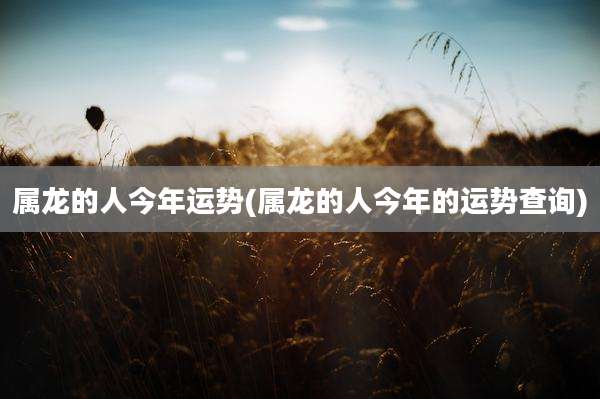 属龙的人今年运势(属龙的人今年的运势查询)