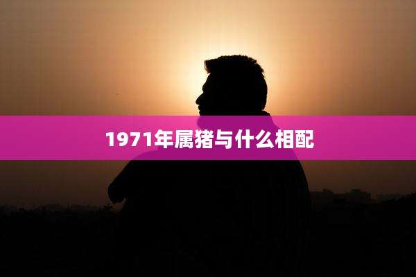 1971年属猪与什么相配