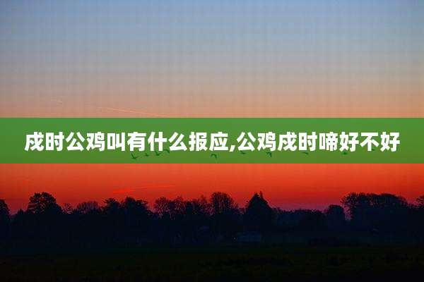 戍时公鸡叫有什么报应,公鸡戍时啼好不好