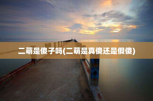 二萌是傻子吗(二萌是真傻还是假傻)