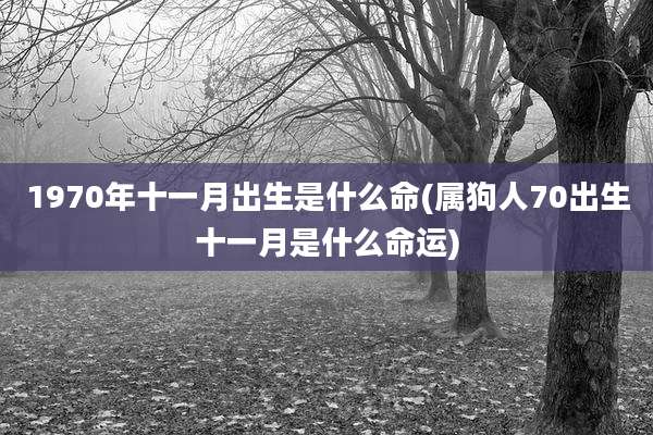 1970年十一月出生是什么命(属狗人70出生十一月是什么命运)