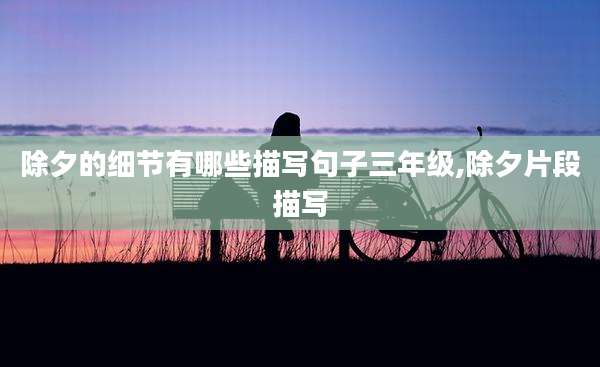 除夕的细节有哪些描写句子三年级,除夕片段描写