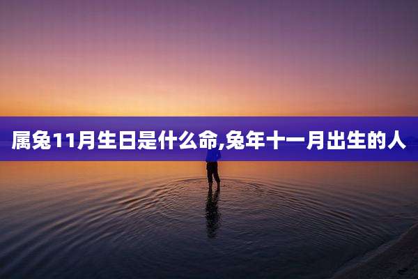 属兔11月生日是什么命,兔年十一月出生的人