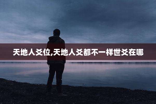 天地人爻位,天地人爻都不一样世爻在哪