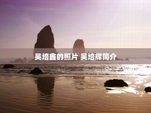 吴培鑫的照片 吴培辉简介