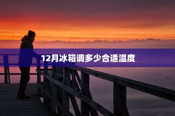 12月冰箱调多少合适温度