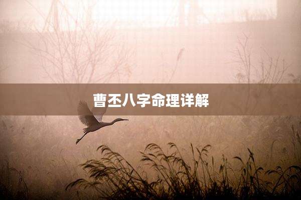曹丕八字命理详解