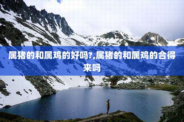 属猪的和属鸡的好吗?,属猪的和属鸡的合得来吗