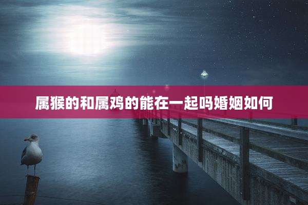 属猴的和属鸡的能在一起吗婚姻如何