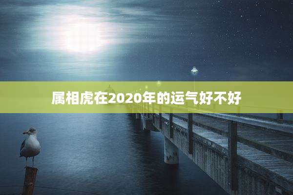 属相虎在2020年的运气好不好