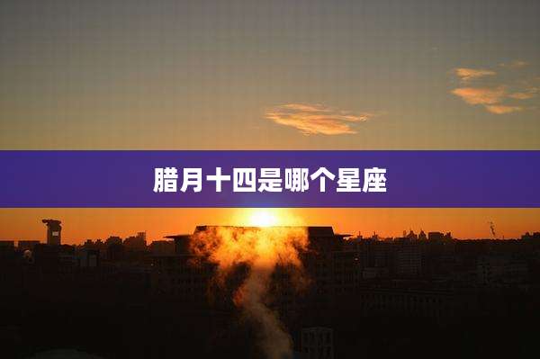 腊月十四是哪个星座