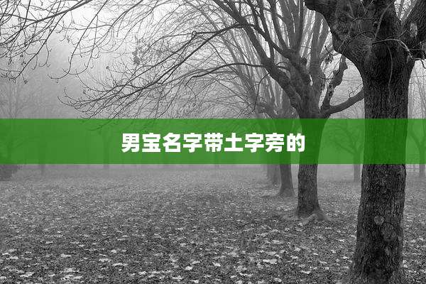 男宝名字带土字旁的