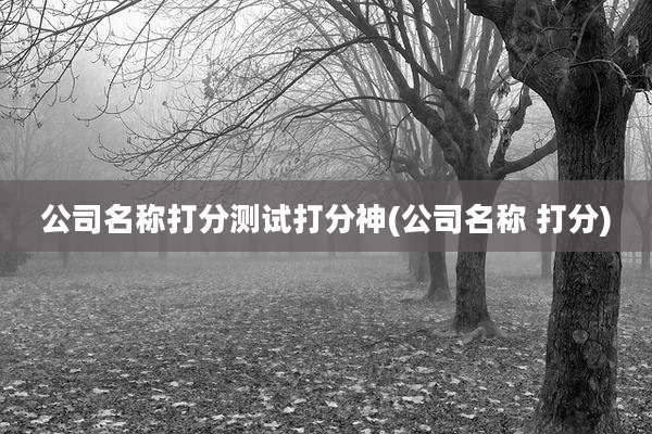 公司名称打分测试打分神(公司名称 打分)