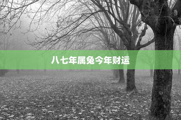 八七年属兔今年财运