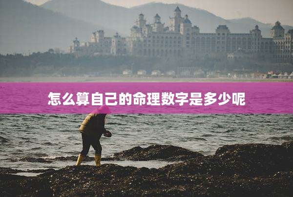 怎么算自己的命理数字是多少呢