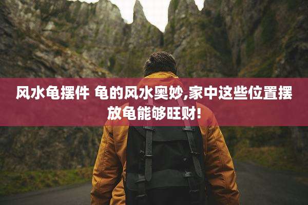 风水龟摆件 龟的风水奥妙,家中这些位置摆放龟能够旺财!