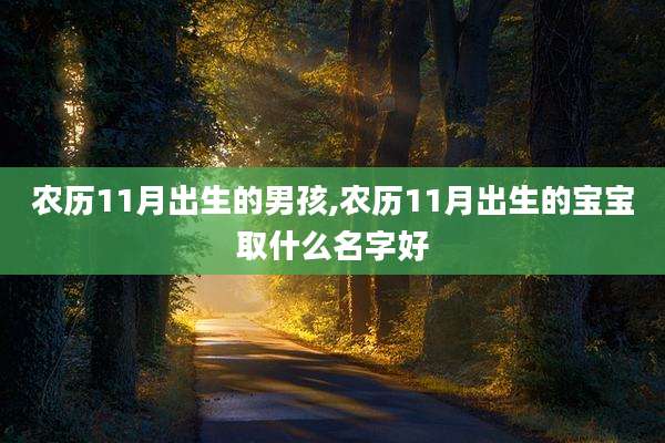 农历11月出生的男孩,农历11月出生的宝宝取什么名字好