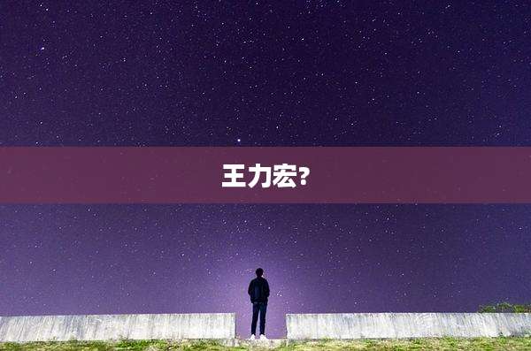 王力宏?