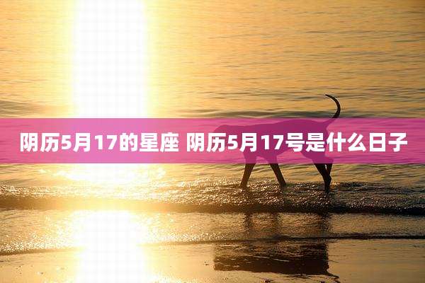 阴历5月17的星座 阴历5月17号是什么日子