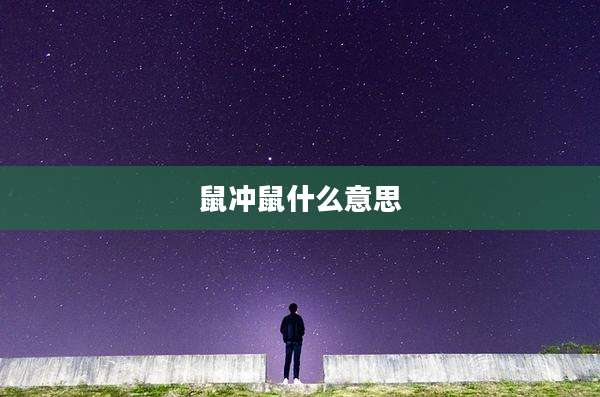 鼠冲鼠什么意思
