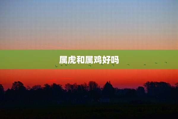 属虎和属鸡好吗