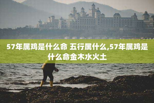 57年属鸡是什么命 五行属什么,57年属鸡是什么命金木水火土