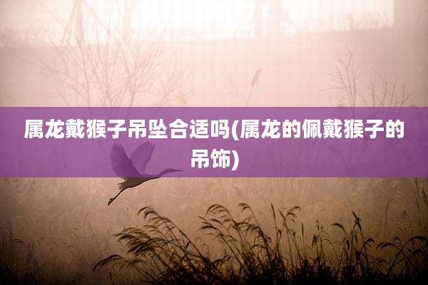 属龙戴猴子吊坠合适吗(属龙的佩戴猴子的吊饰)