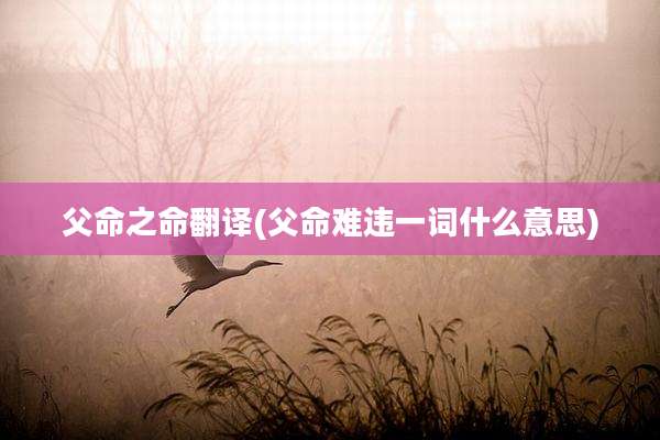 父命之命翻译(父命难违一词什么意思)