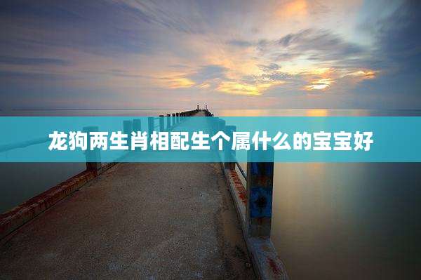 龙狗两生肖相配生个属什么的宝宝好