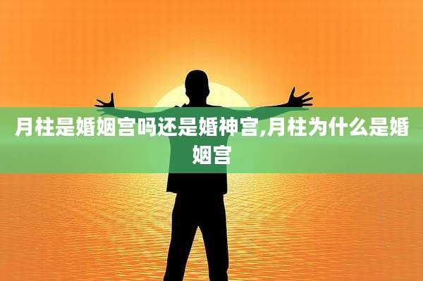 月柱是婚姻宫吗还是婚神宫,月柱为什么是婚姻宫
