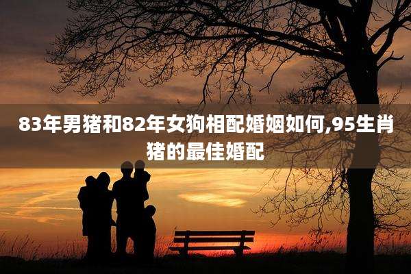 83年男猪和82年女狗相配婚姻如何,95生肖猪的最佳婚配