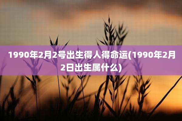 1990年2月2号出生得人得命运(1990年2月2日出生属什么)