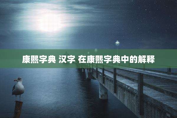 康熙字典 汉字 在康熙字典中的解释