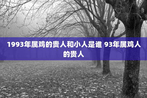 1993年属鸡的贵人和小人是谁 93年属鸡人的贵人
