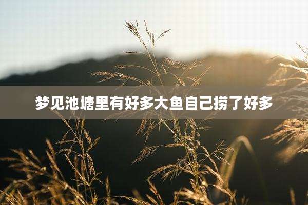 梦见池塘里有好多大鱼自己捞了好多