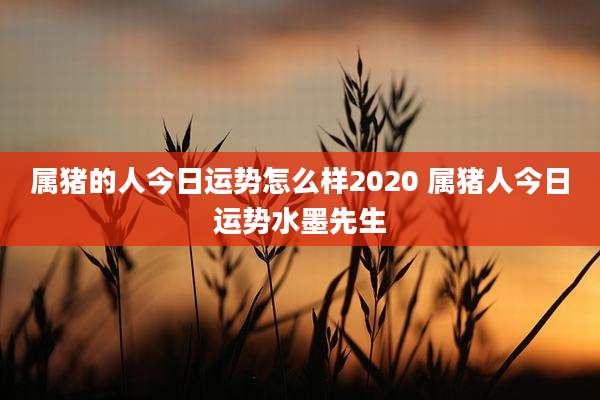 属猪的人今日运势怎么样2020 属猪人今日运势水墨先生