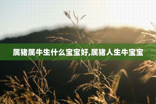 属猪属牛生什么宝宝好,属猪人生牛宝宝