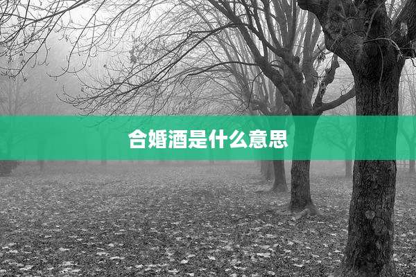 合婚酒是什么意思
